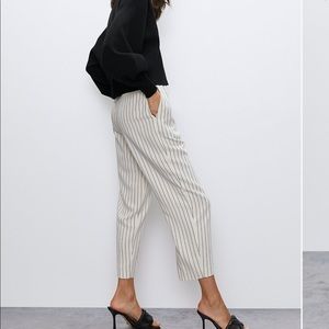 Aritzia Modesto Pant